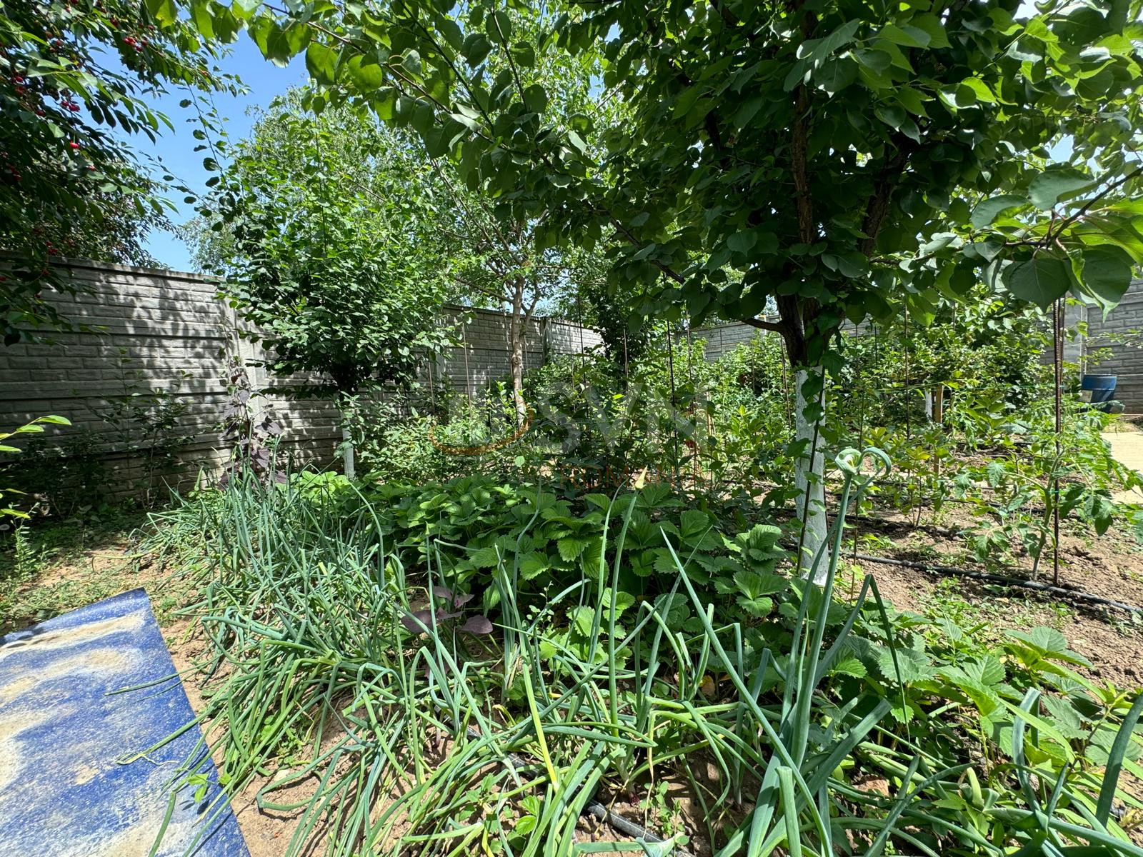 Casa, 4 camere Dambovita/Centru