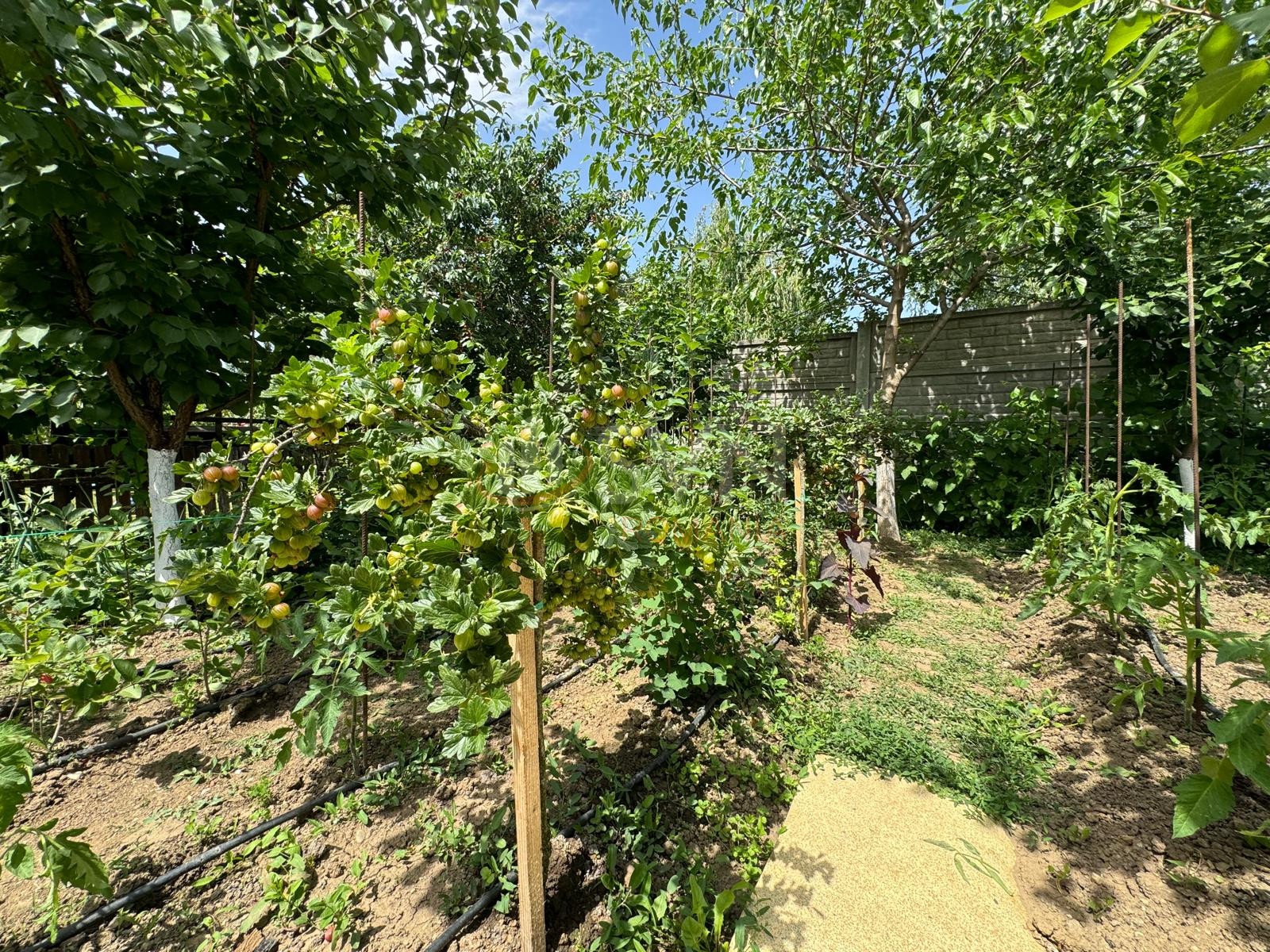 Casa, 4 camere Dambovita/Centru