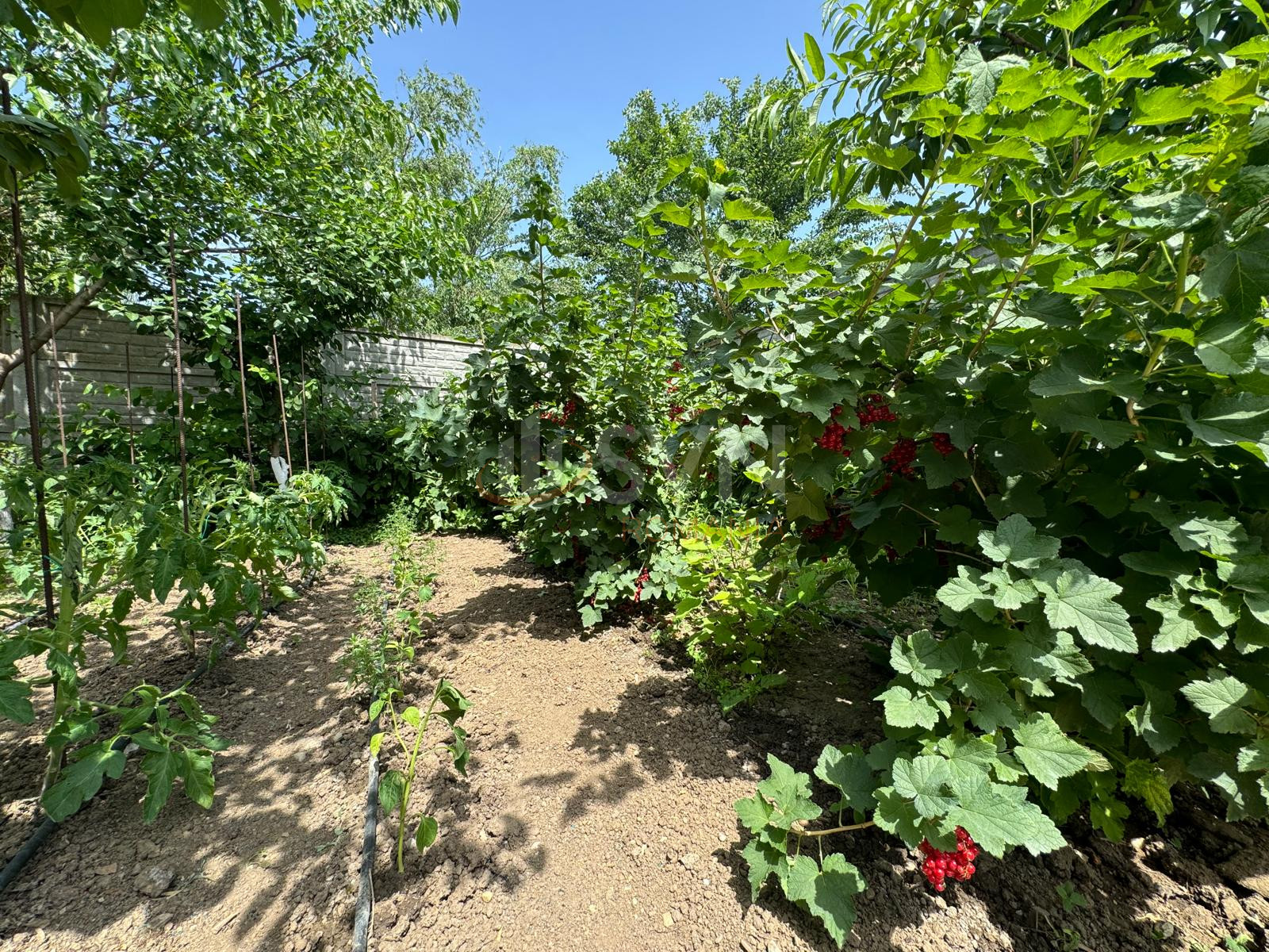 Casa, 4 camere Dambovita/Centru