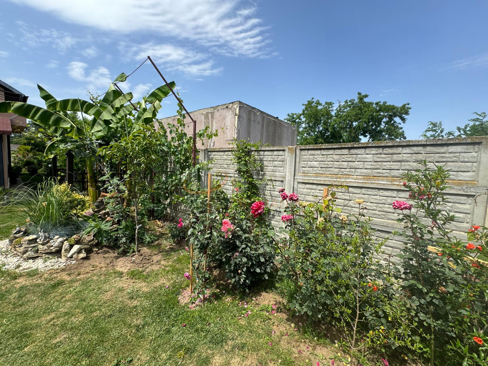 Casa, 4 camere Dambovita/Centru