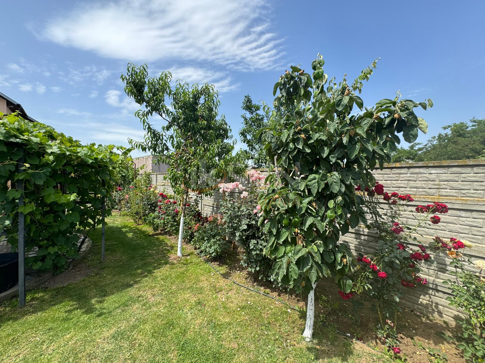 Casa, 4 camere Dambovita/Centru