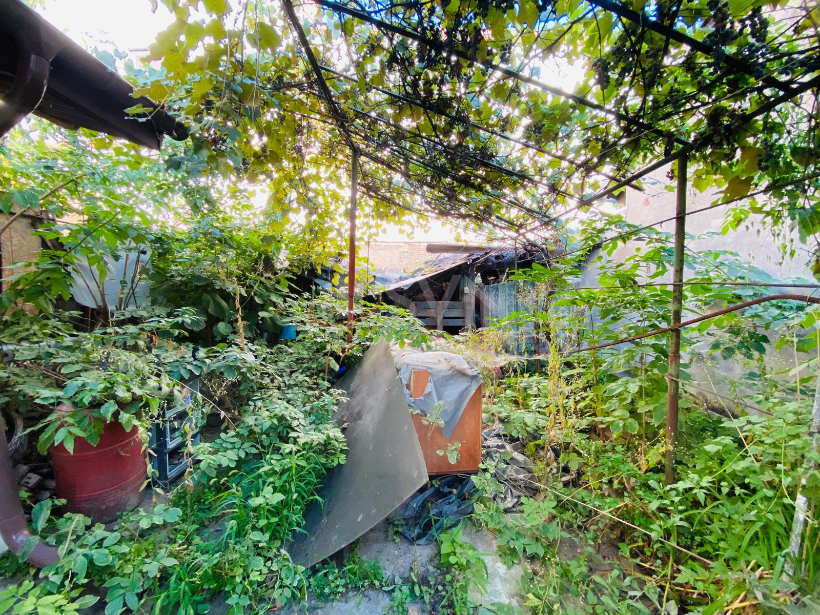 Casa, 4 camere Bucuresti/Damaroaia