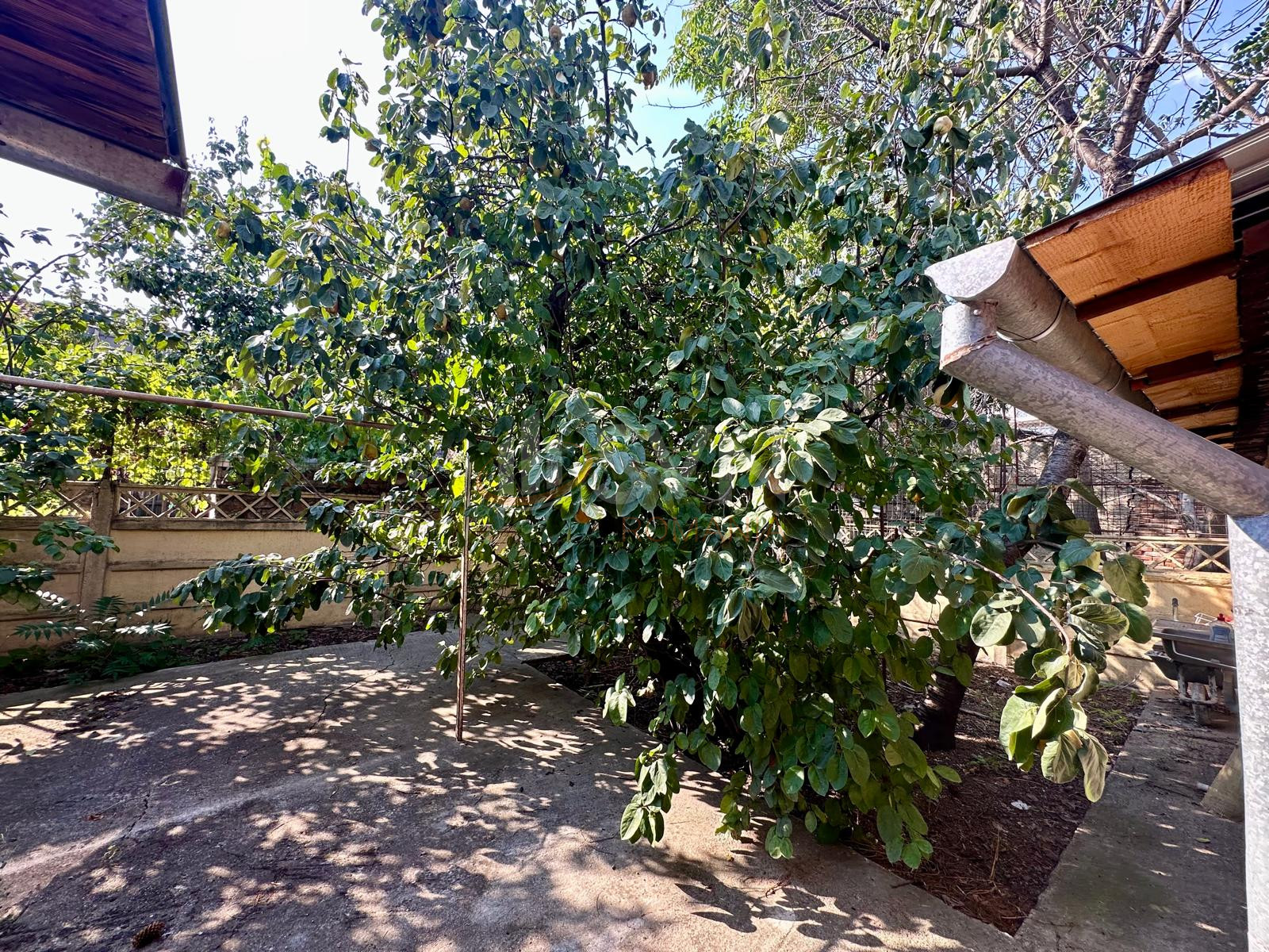 Casa, 4 camere Bucuresti/Tei