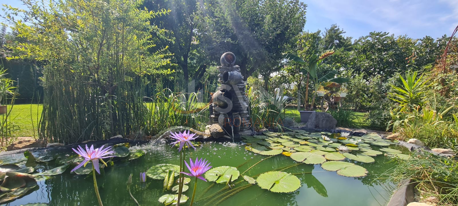 Casa, 4 camere Ilfov/Buftea