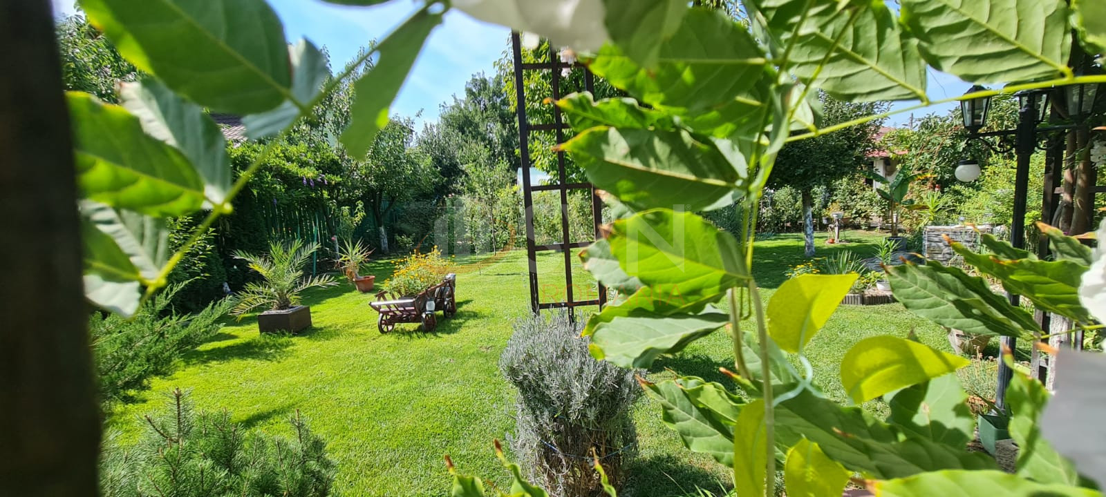 Casa, 4 camere Ilfov/Buftea