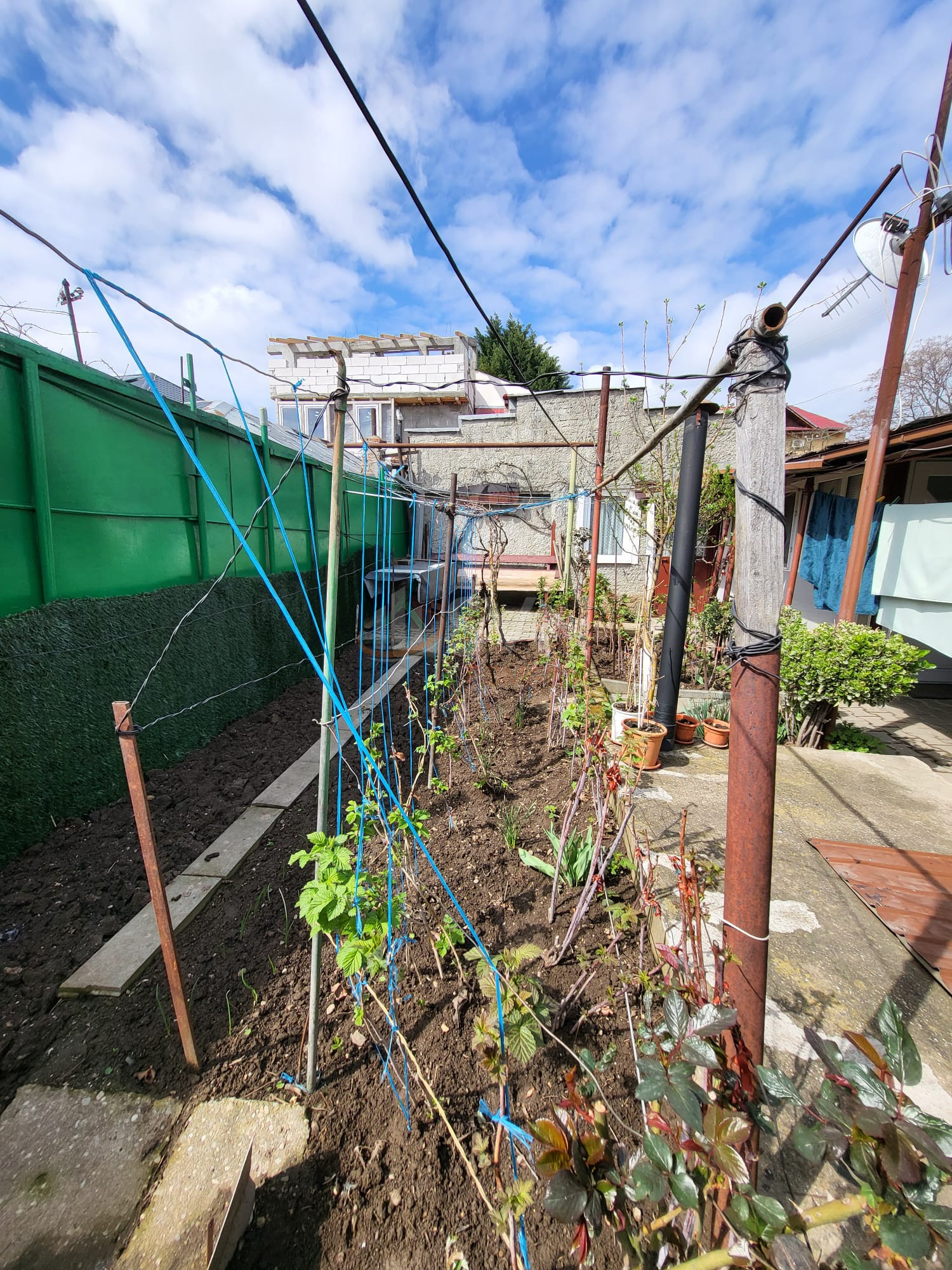 Casa, 4 camere Bucuresti/Baneasa