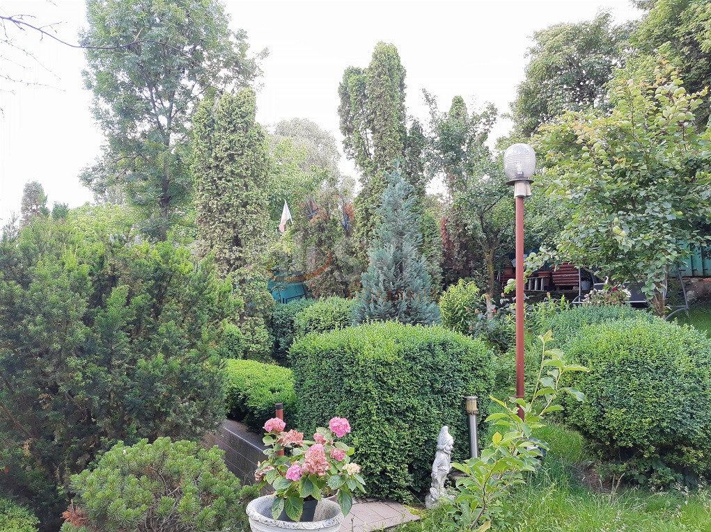 Casa, 4 camere Cluj/Calea Turzii