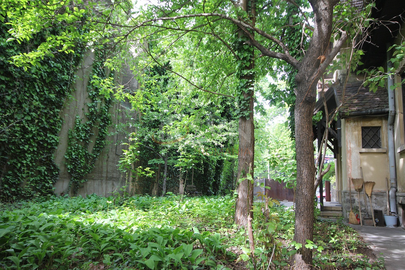 Casa, 5 camere Bucuresti/Aviatorilor