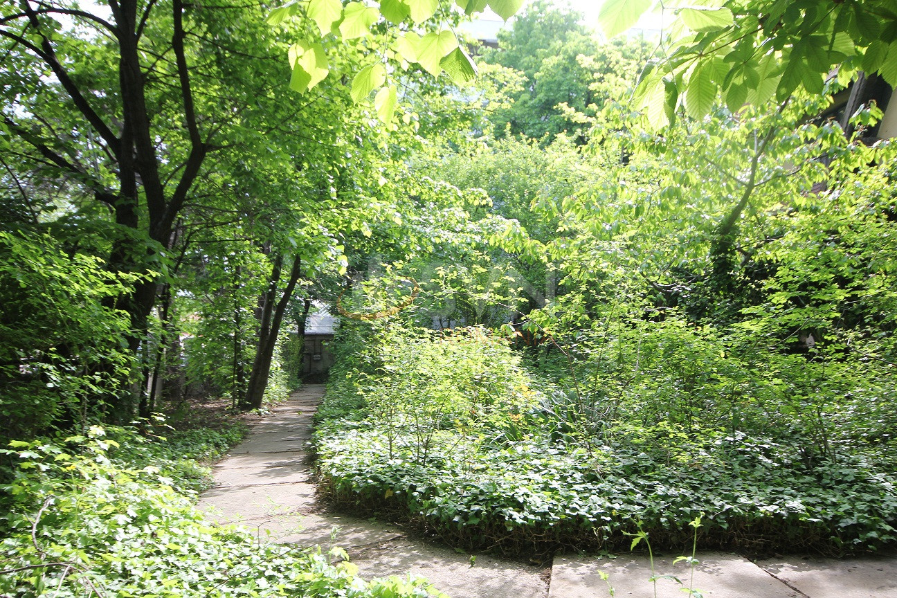 Casa, 5 camere Bucuresti/Aviatorilor