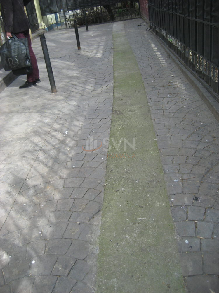 Casa, 5 camere Bucuresti/Gradina Icoanei