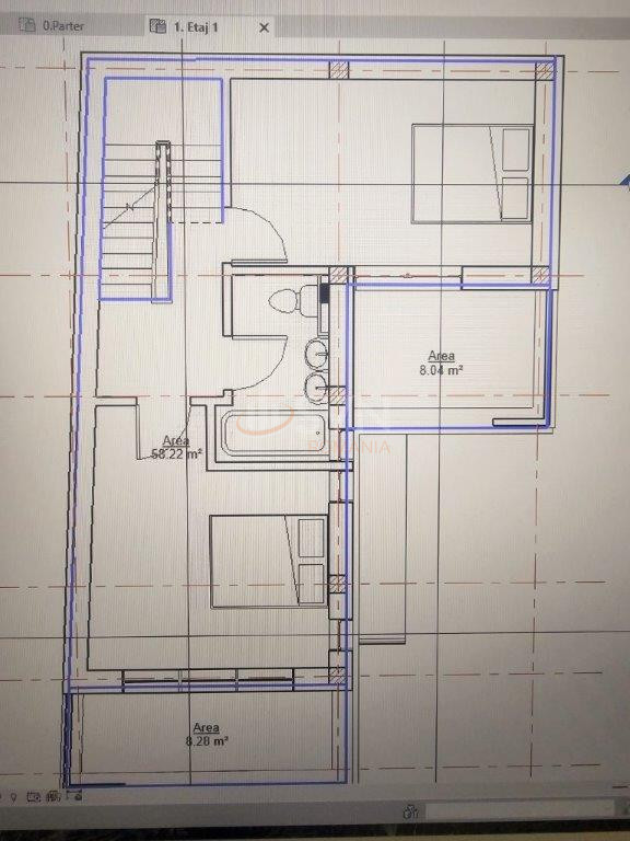 Casa, 5 camere Bucuresti/Domenii