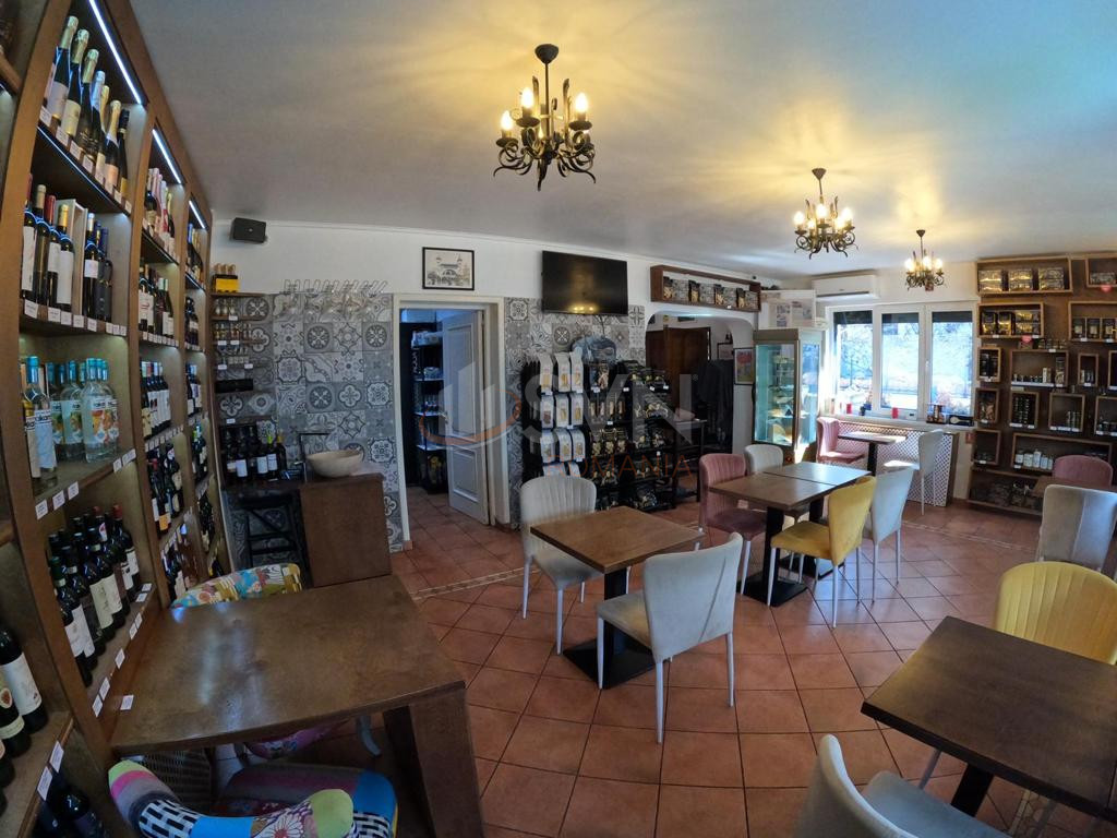 Casa, 5 camere Bucuresti/Floreasca