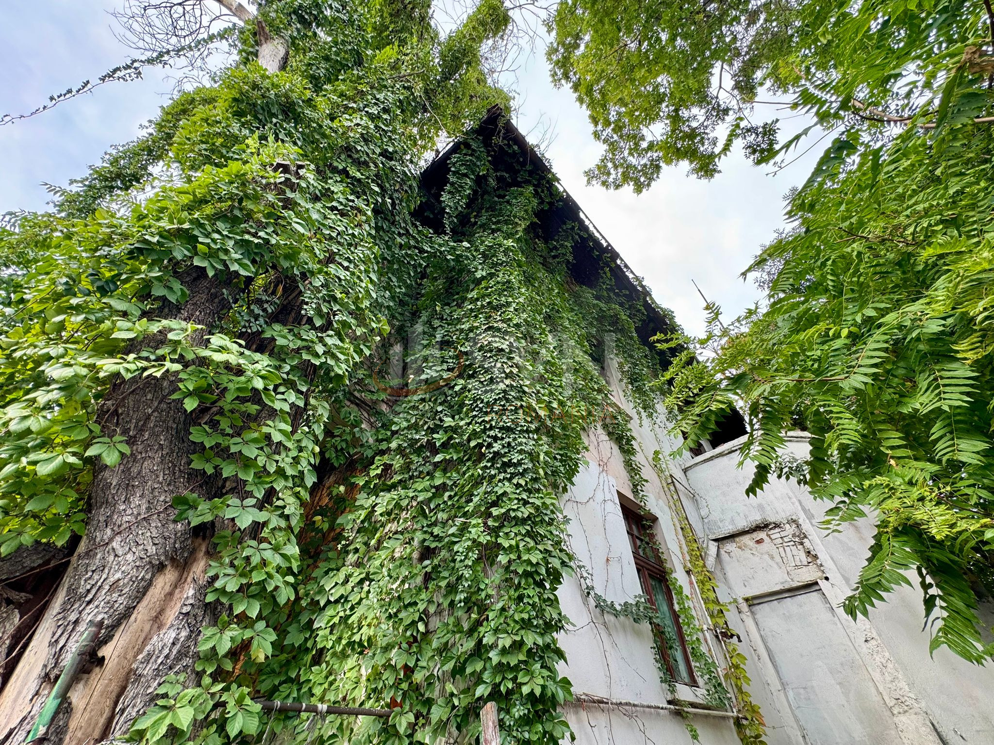 Casa, 5 camere Bucuresti/Calea Victoriei