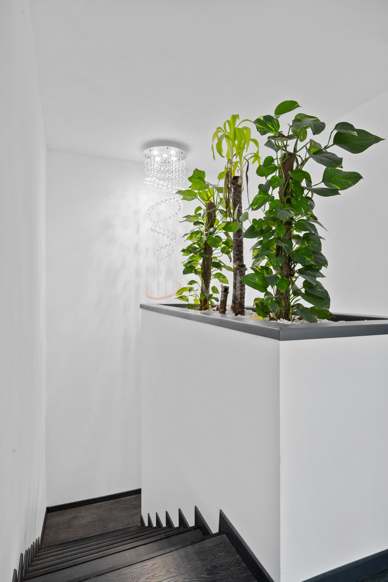 Casa, 5 camere Ilfov/Balotesti