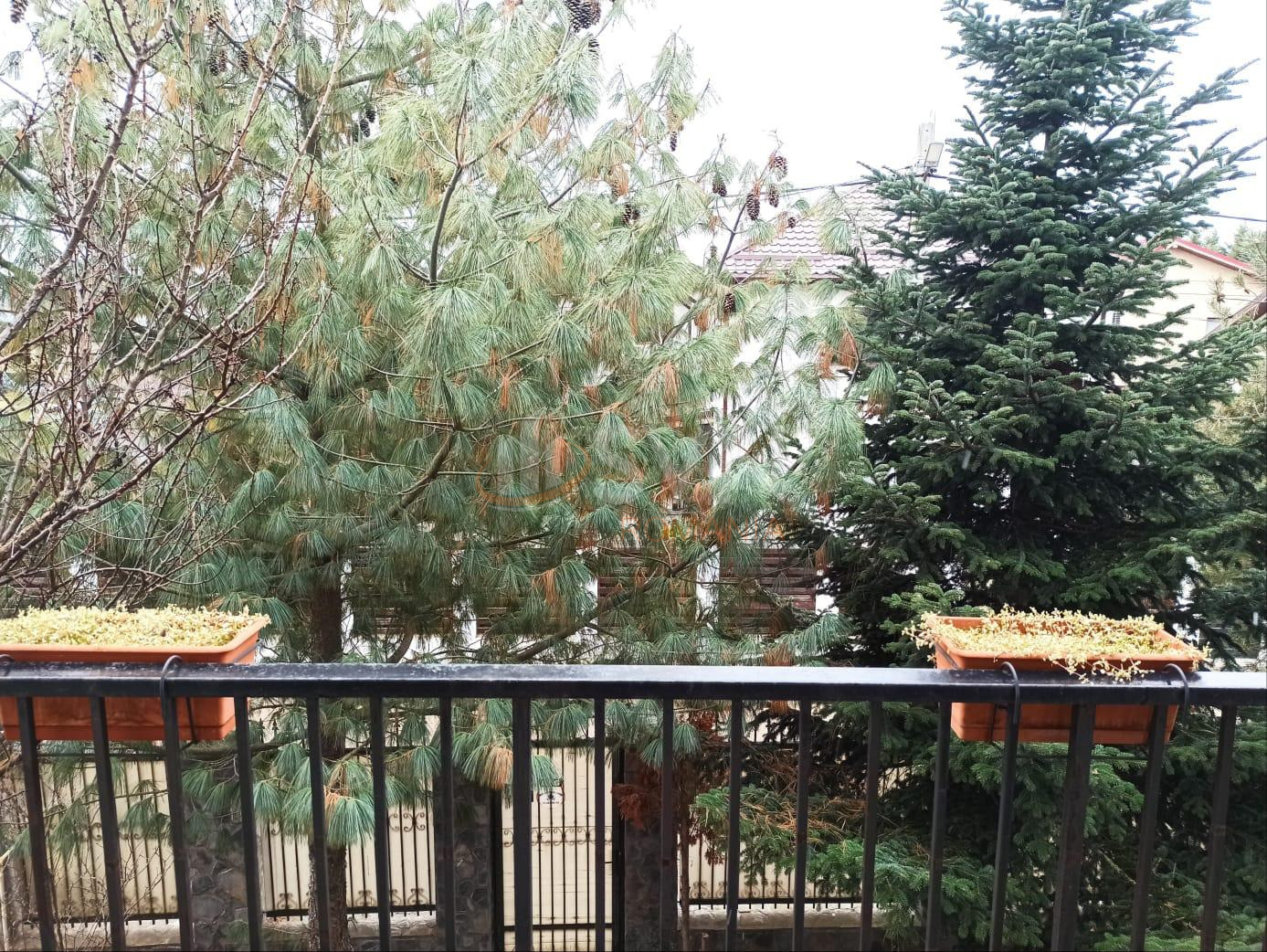 Casa, 5 camere Ilfov/Branesti