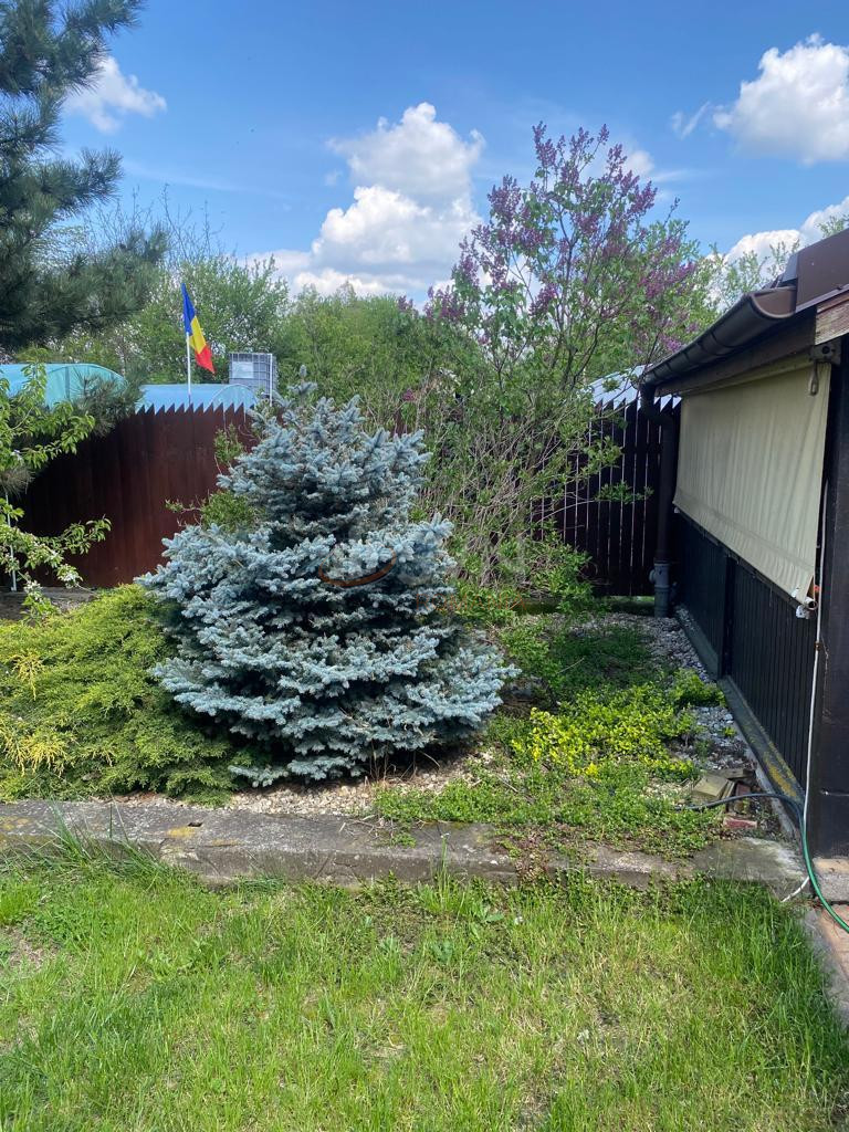 Casa, 5 camere Dambovita/Centru