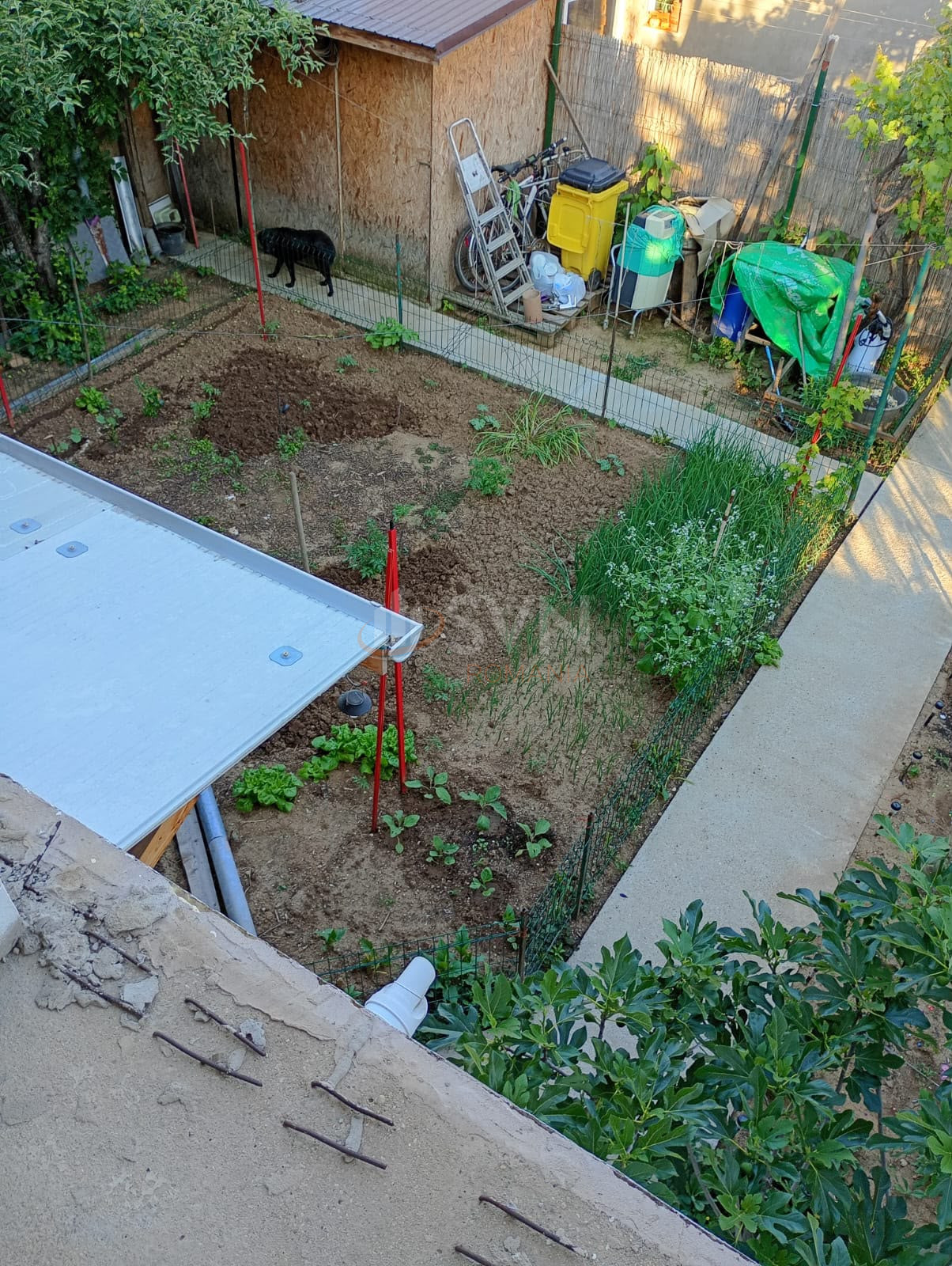 Casa, 5 camere Bucuresti/Colentina