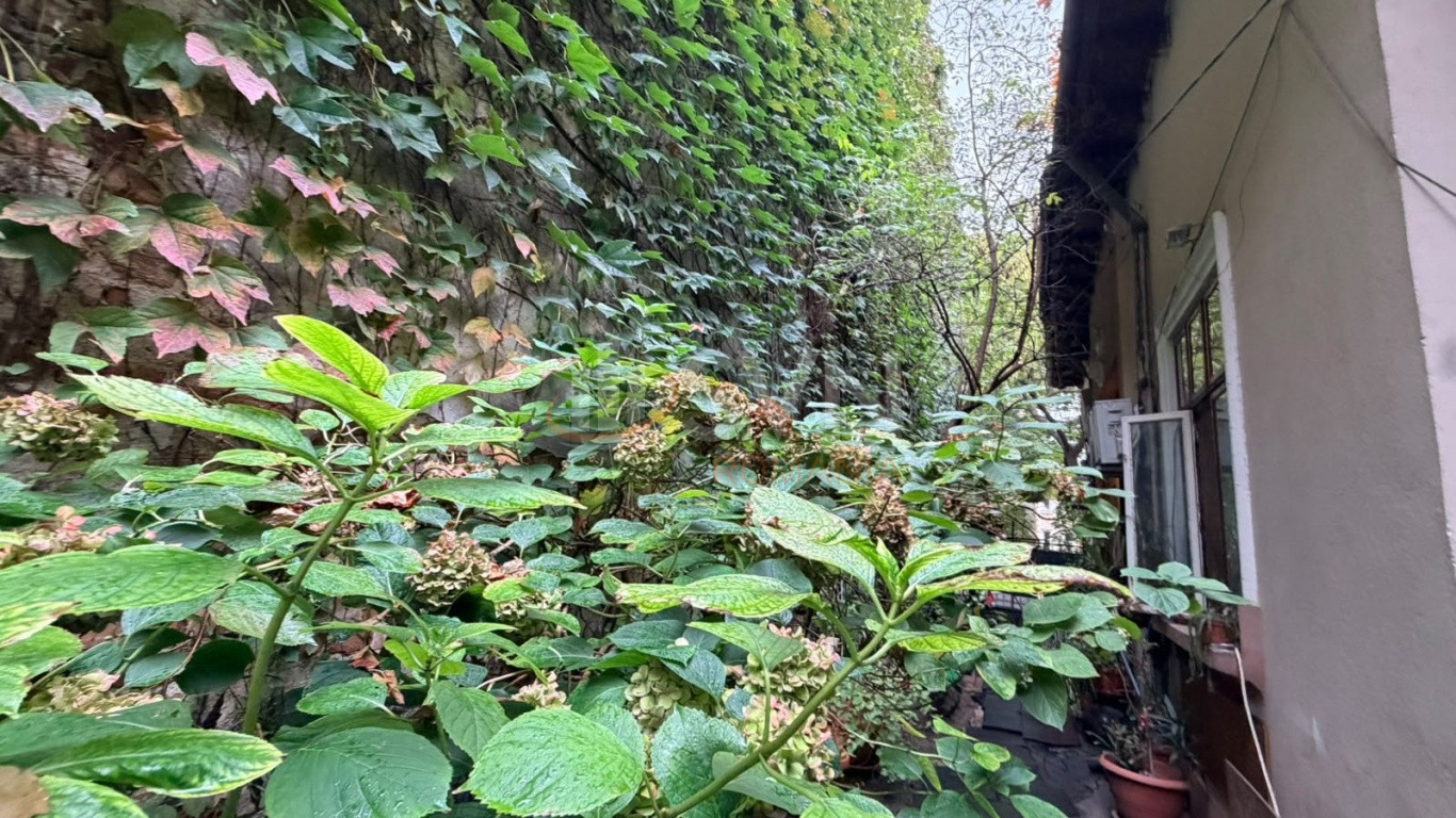 Casa, 5 camere Bucuresti/Cotroceni