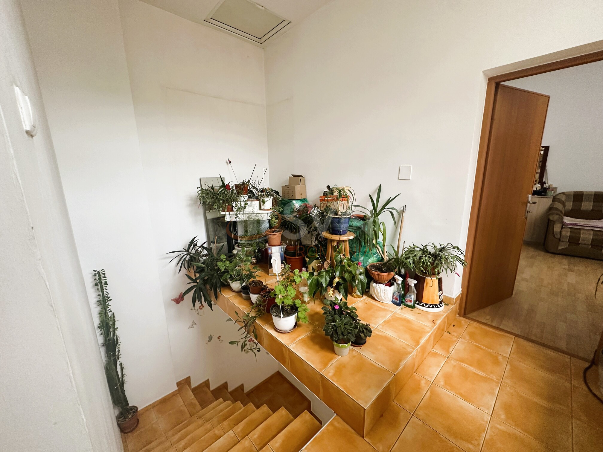 Casa, 5 camere Bucuresti/Grivita