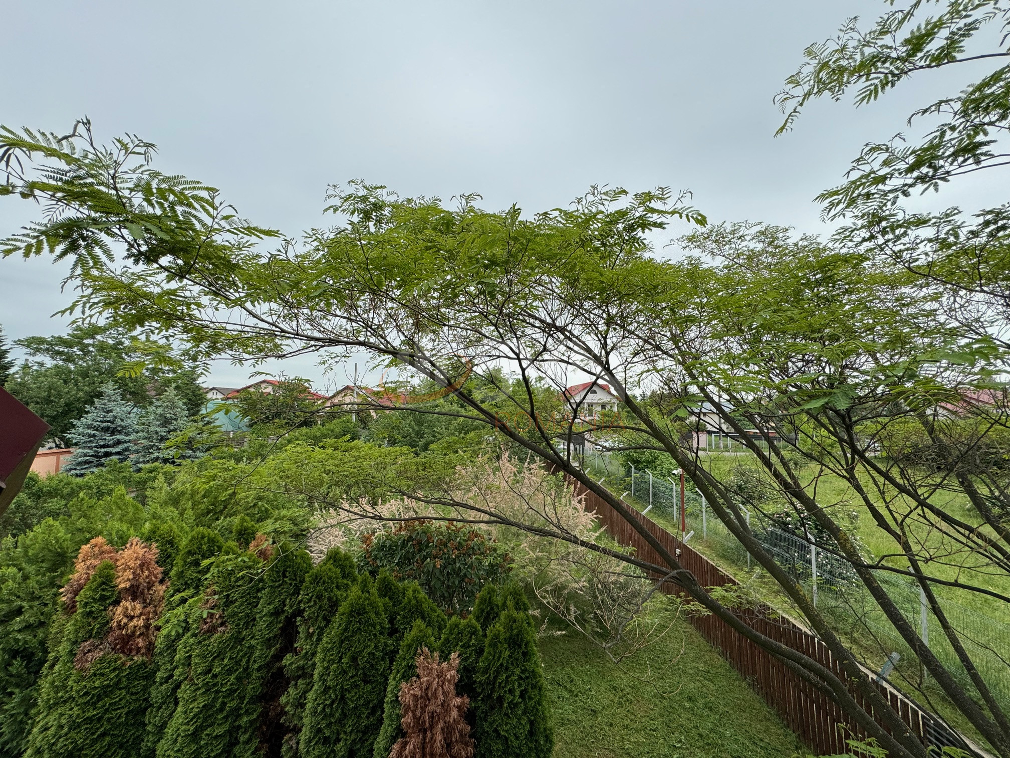 Casa, 5 camere Ilfov/Buftea