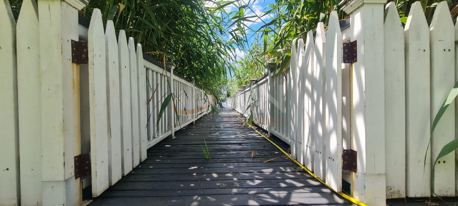 Casa, 5 camere Ilfov/Snagov