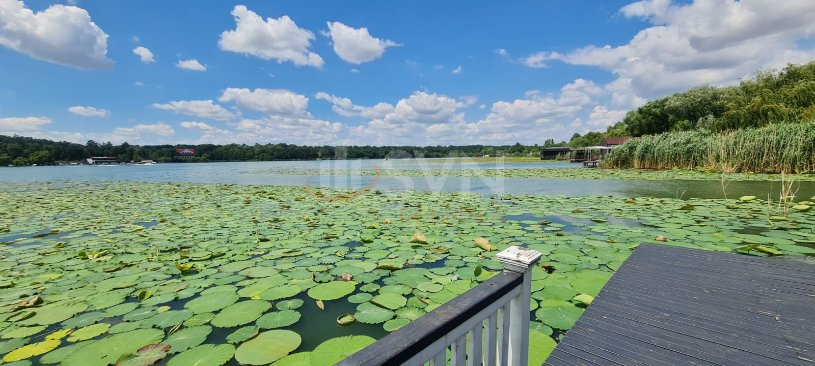 Casa, 5 camere Ilfov/Snagov