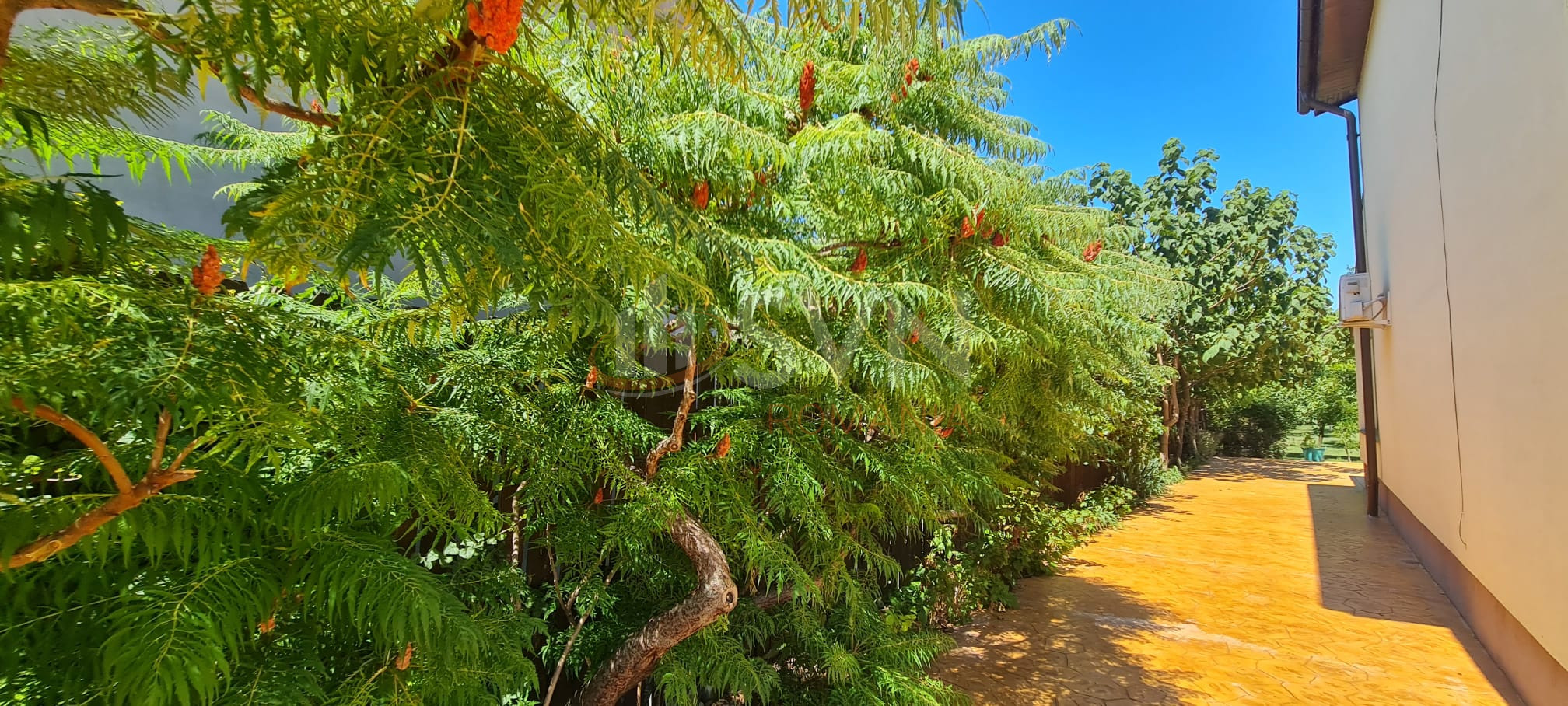 Casa, 5 camere Ilfov/Corbeanca
