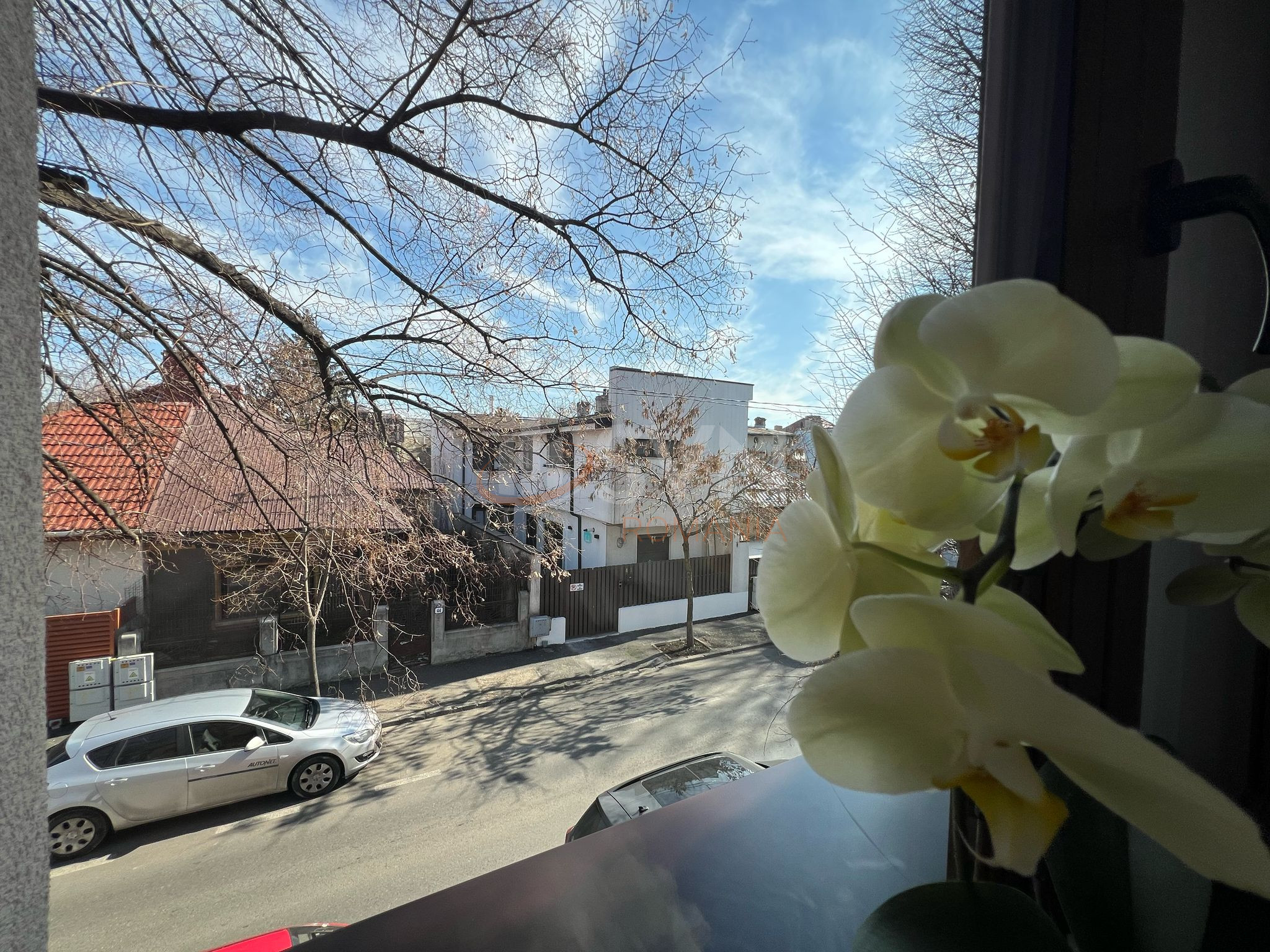 Casa, 5 camere Bucuresti/Domenii