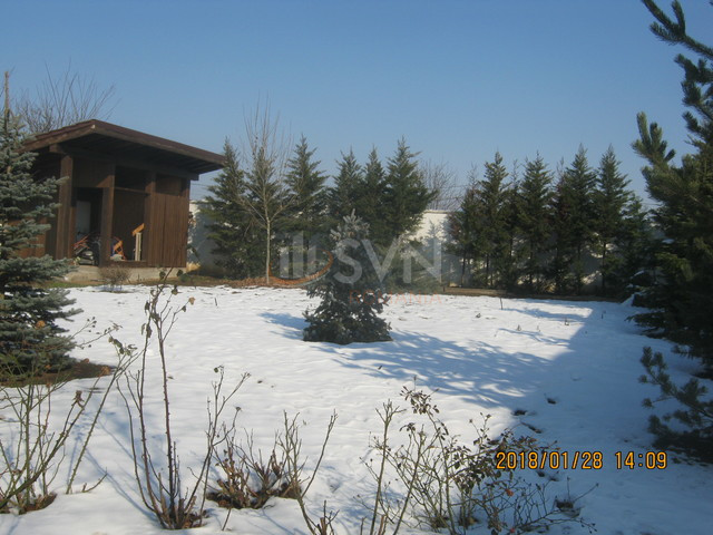 Casa, 6 camere Ilfov/Buftea