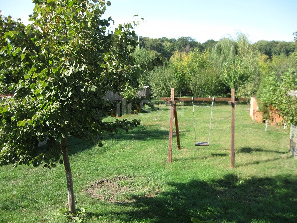 Casa, 6 camere Ilfov/Mogosoaia