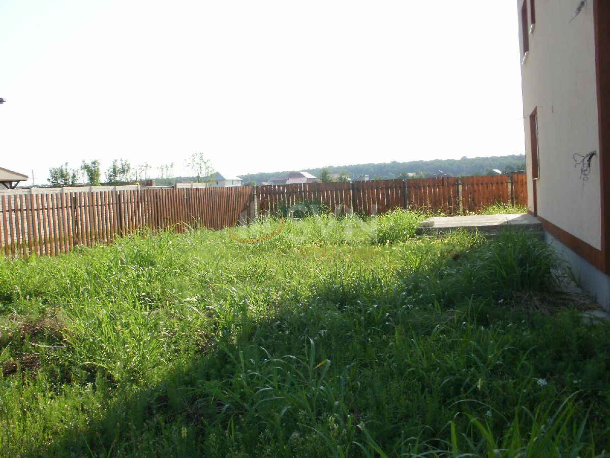 Casa, 6 camere Ilfov/Chitila