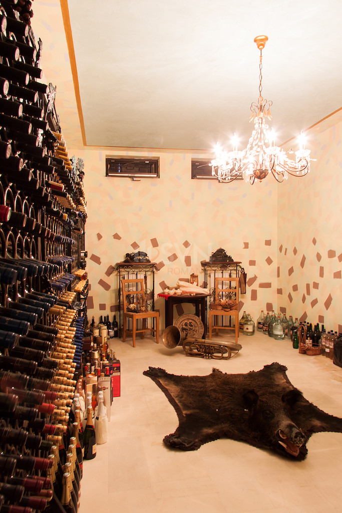 Casa, 6 camere Ilfov/Cernica