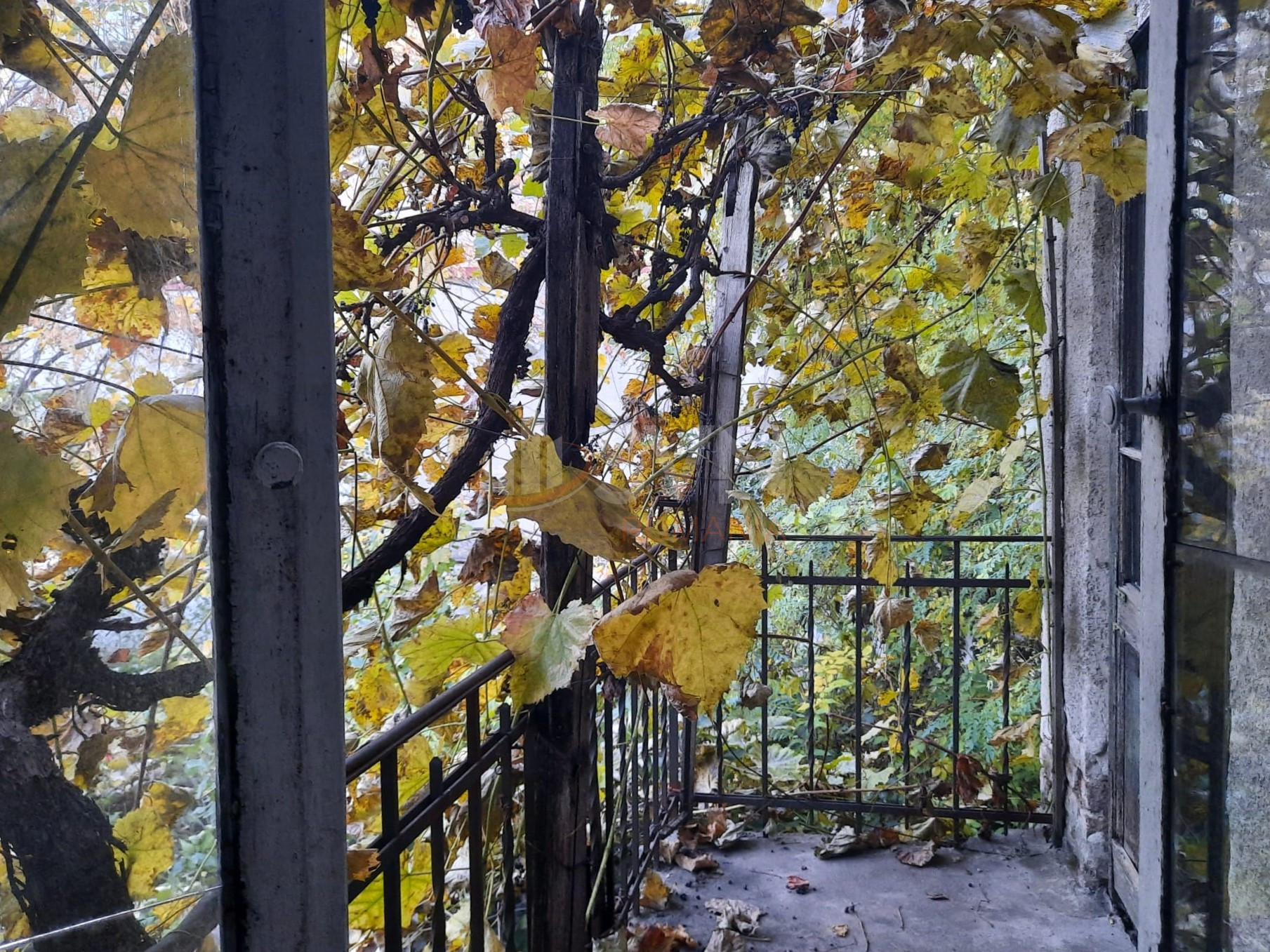 Casa, 6 camere Bucuresti/Armeneasca