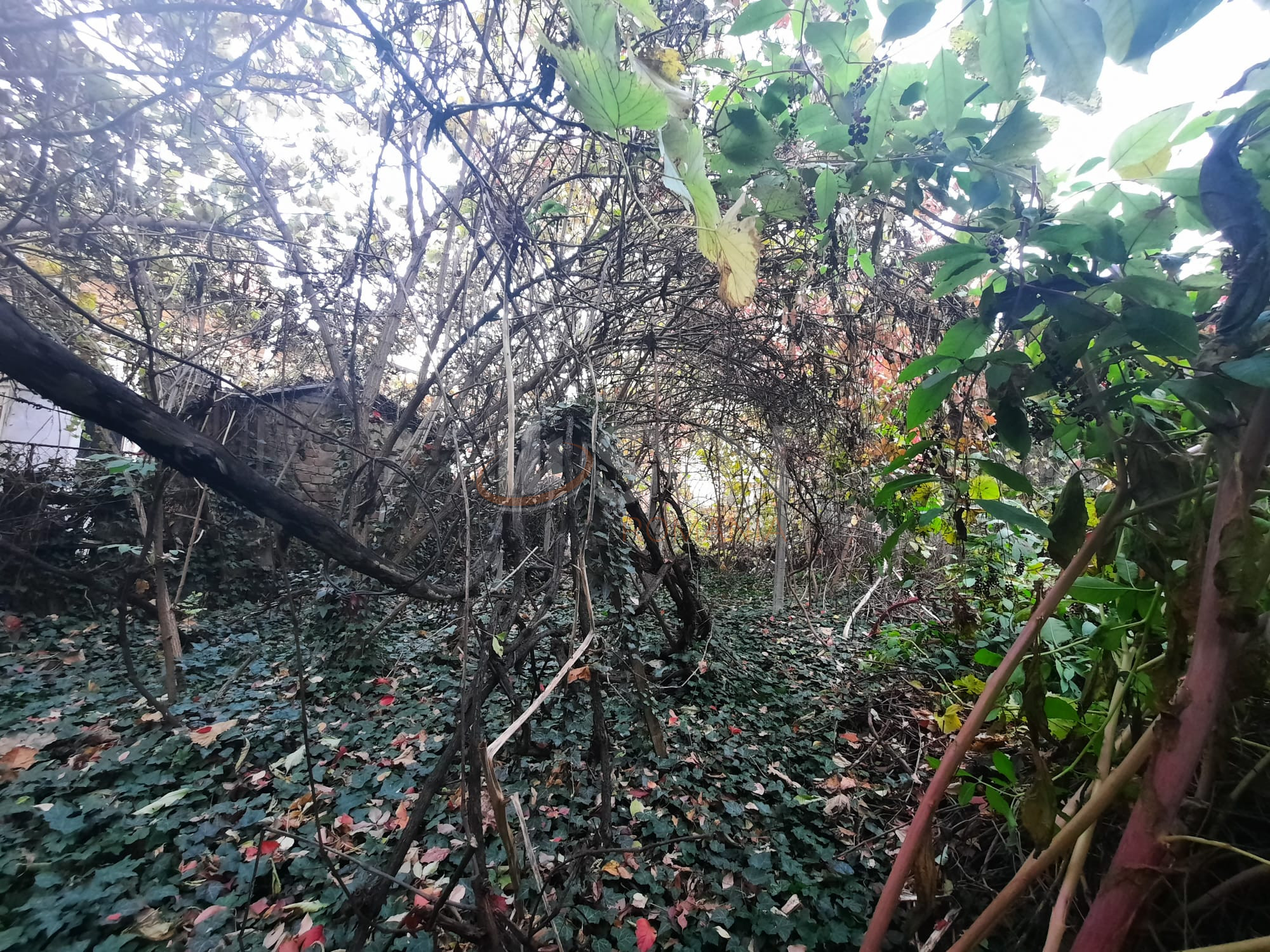 Casa, 6 camere Bucuresti/Armeneasca