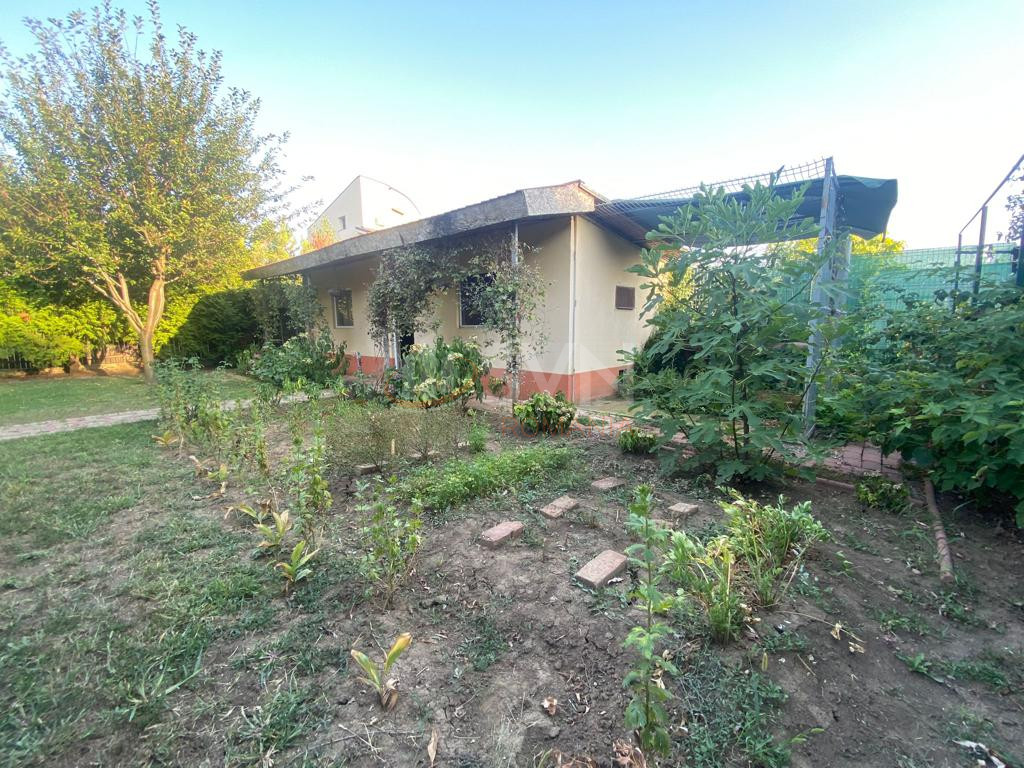 Casa, 6 camere Ilfov/Otopeni