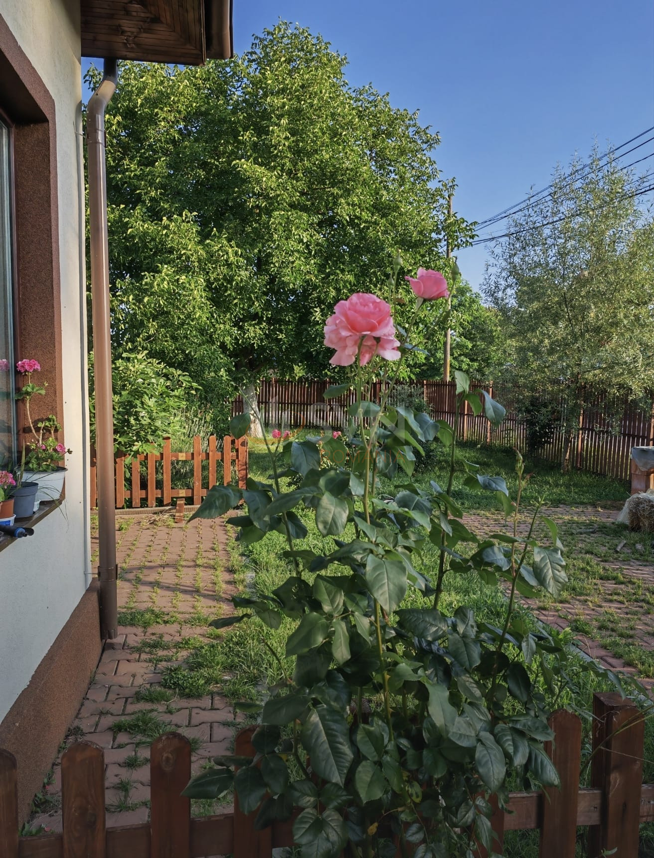 Casa, 6 camere Ilfov/Snagov