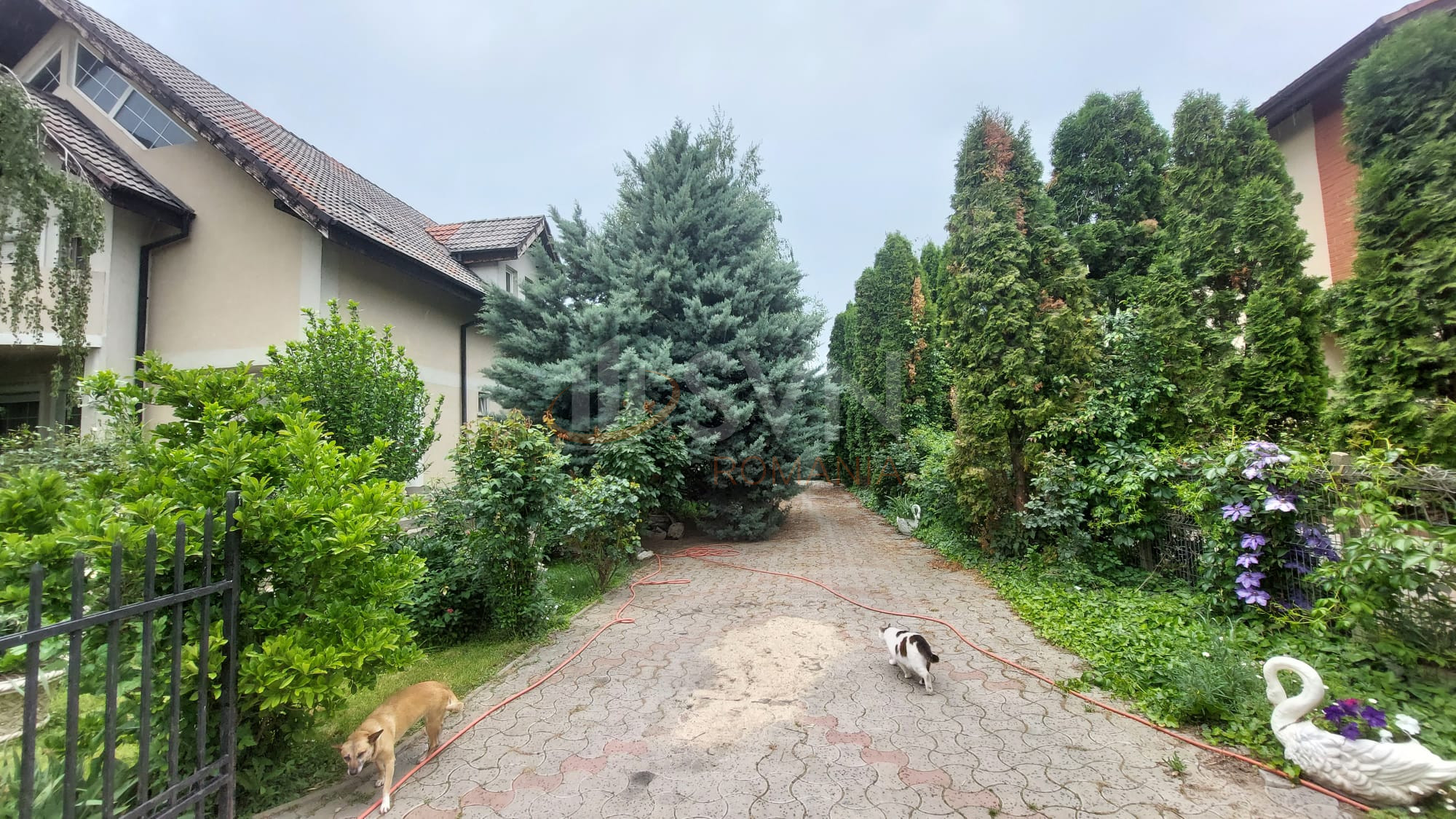 Casa, 6 camere Ilfov/1 Decembrie