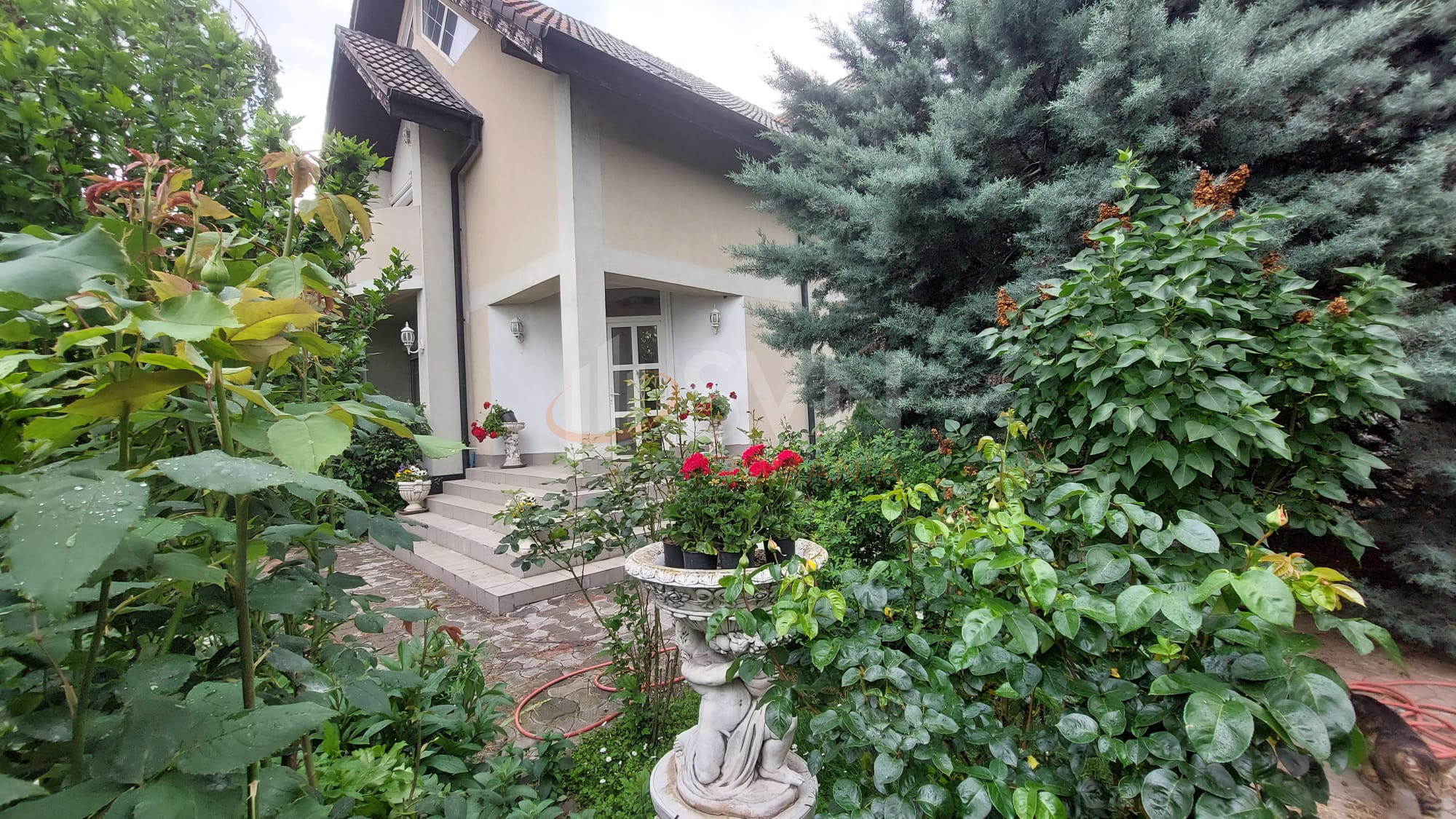 Casa, 6 camere Ilfov/1 Decembrie