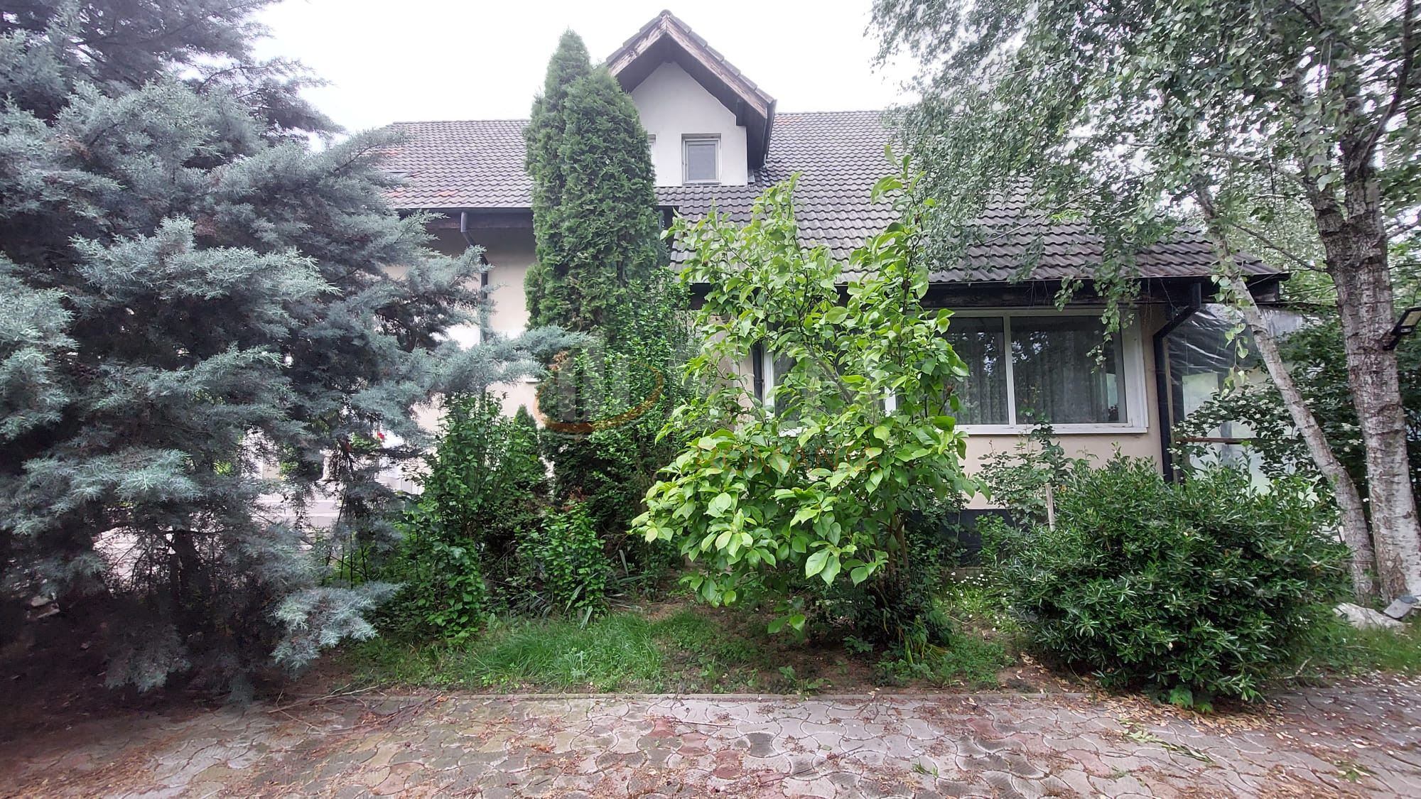 Casa, 6 camere Ilfov/1 Decembrie