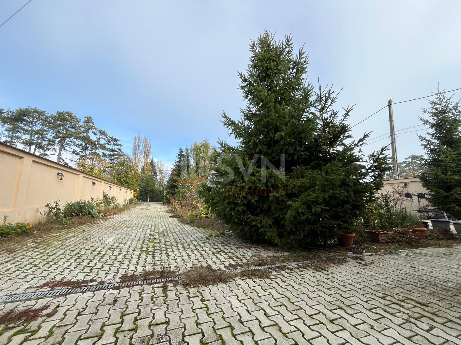 Casa, 6 camere Ilfov/Buftea