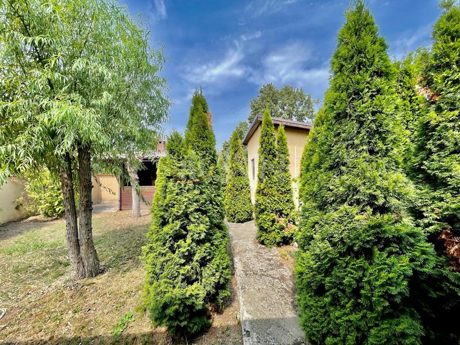 Casa, 6 camere Ilfov/Cernica