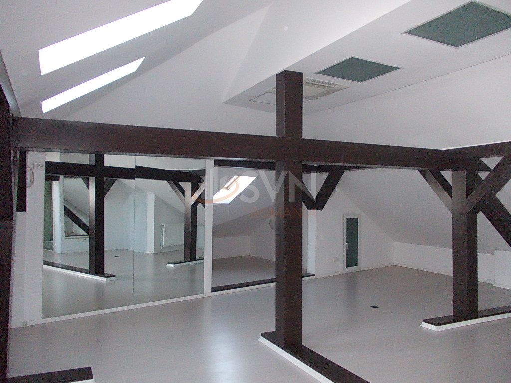 Casa, 6 camere Bucuresti/Gradina Icoanei