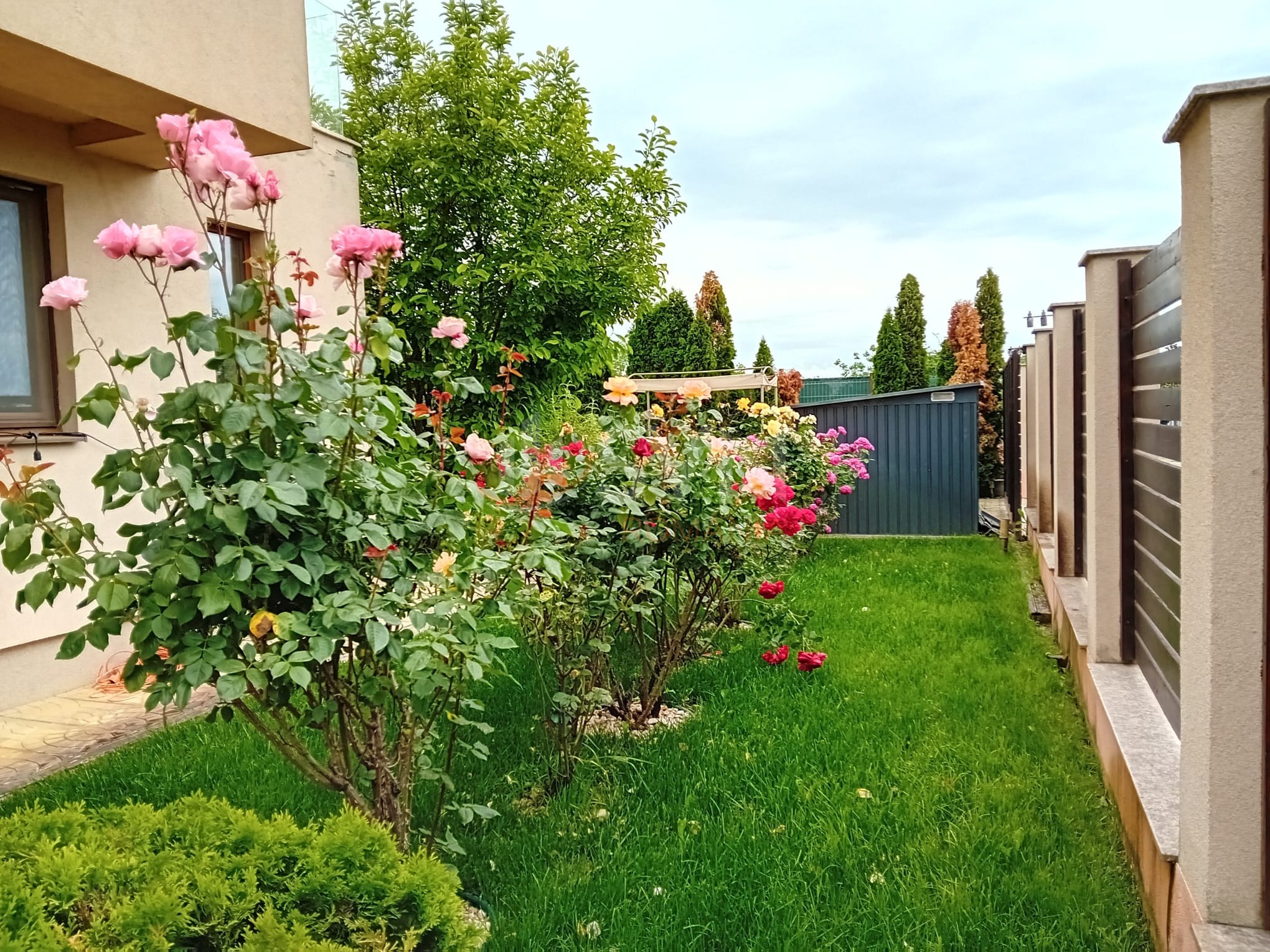 Casa, 6 camere Ilfov/Corbeanca