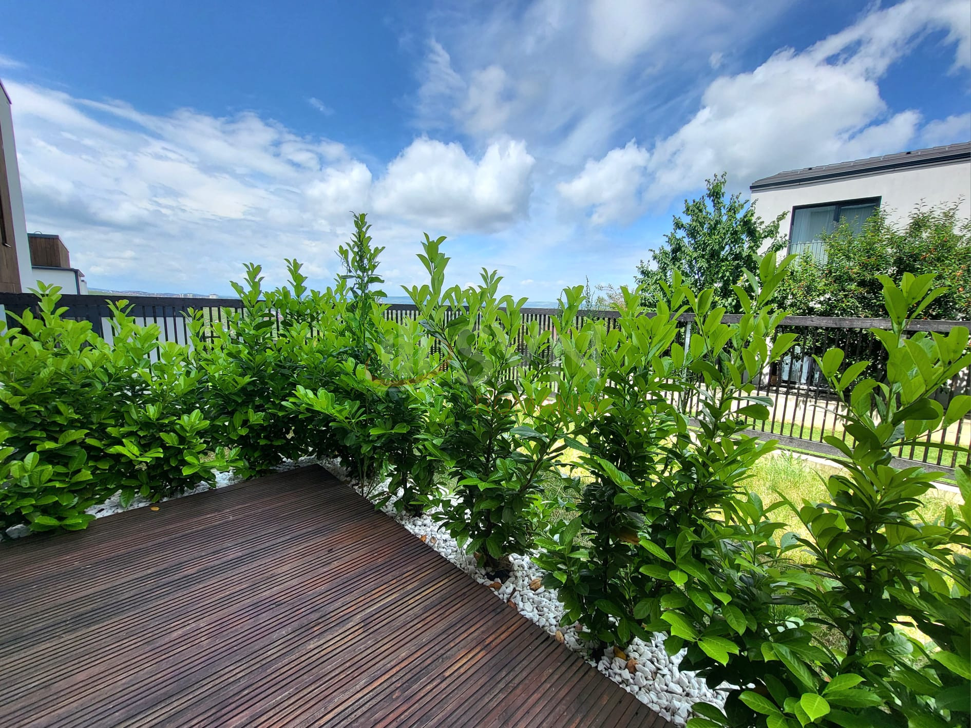 Casa, 6 camere Cluj/Borhanci