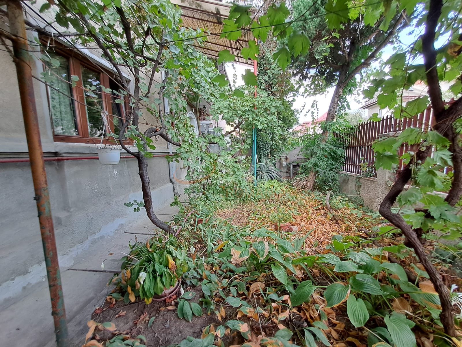 Casa, 6 camere Bucuresti/Vatra Luminoasa