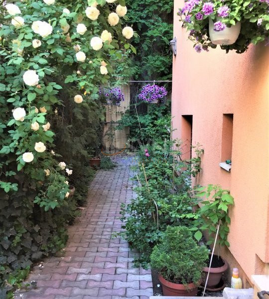 Casa, 6 camere Bucuresti/Dorobanti