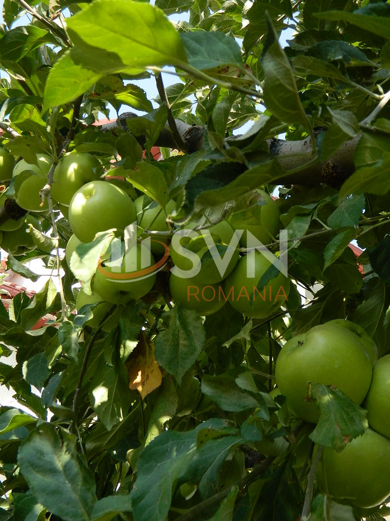 Casa, 7 camere Ilfov/Balotesti