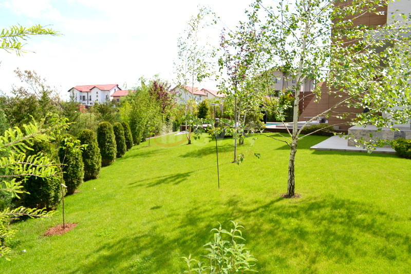 Casa, 7 camere Bucuresti/Pipera