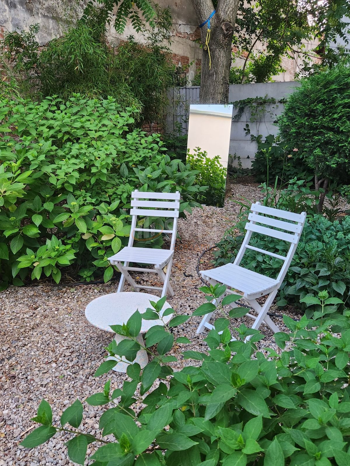 Casa, 7 camere Bucuresti/Gradina Icoanei