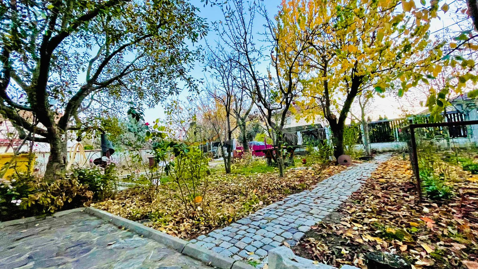 Casa, 7 camere Ilfov/Mogosoaia